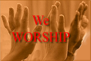 Web Tutorial Plus - Demo