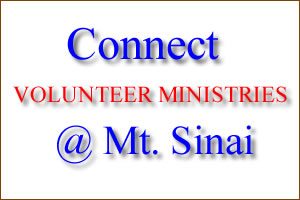 Web Tutorial Plus - Demo